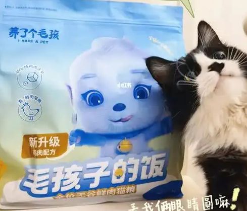 口粮！三只松鼠靠什么重返宠物食品赛道pg电子中文模拟器零食巨头盯上毛孩子