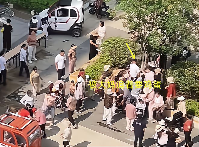 粽子大妈连盆都端走了还围堵物业要鸡蛋pg电子试玩入口山东：小区端午免费包(图5)