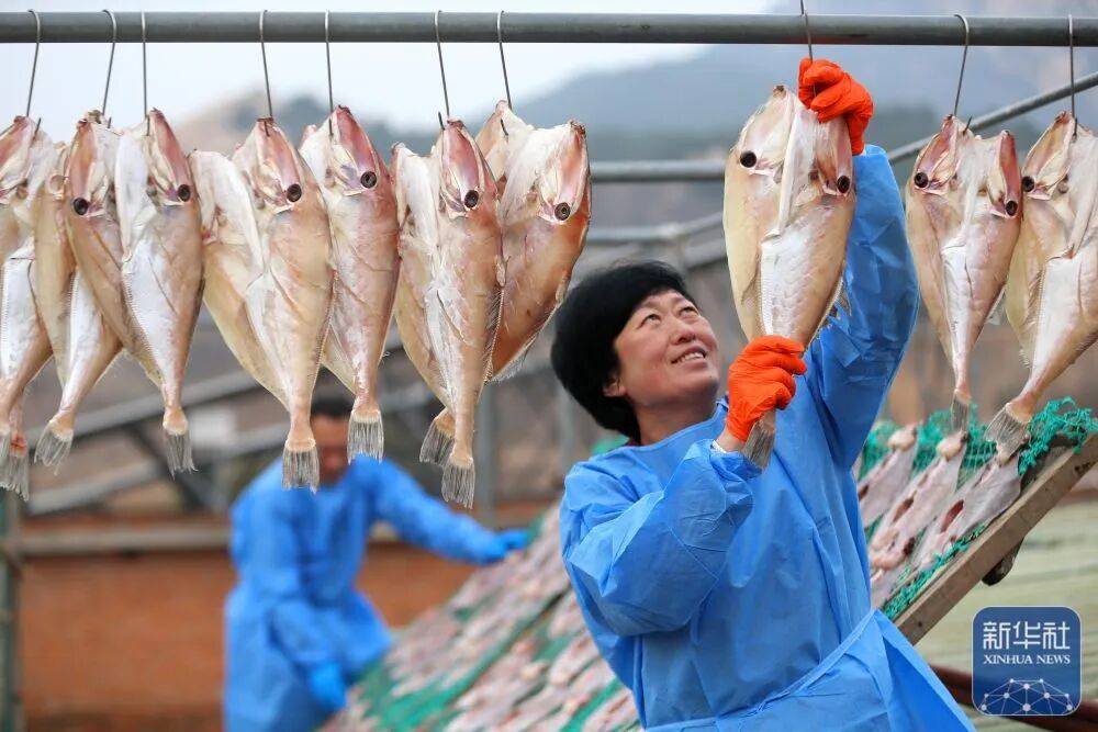 金诺宠物节来了时间就在pg电子试玩第二届亚太(图2) 金诺宠物节来了时间就在pg电子试玩第二届亚太(图2)