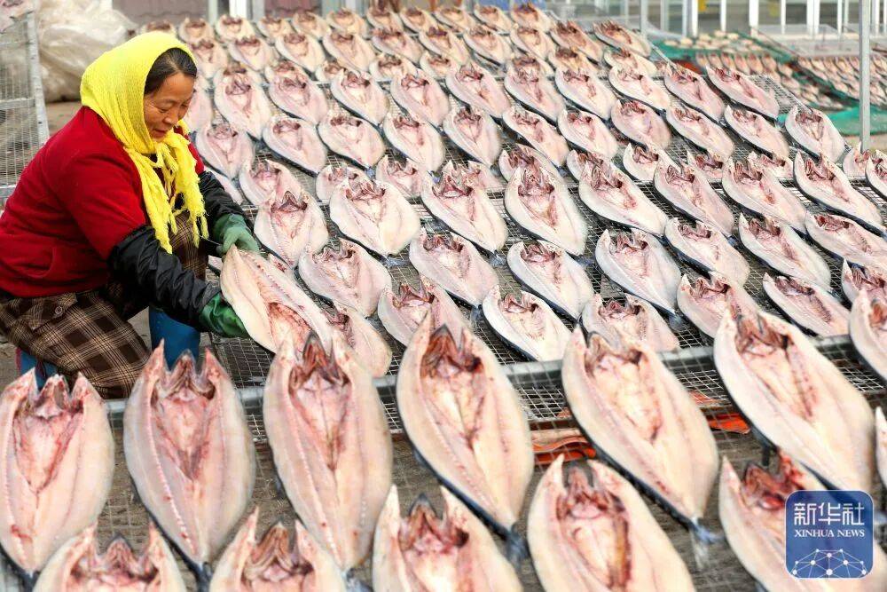 金诺宠物节来了时间就在pg电子试玩第二届亚太(图4)