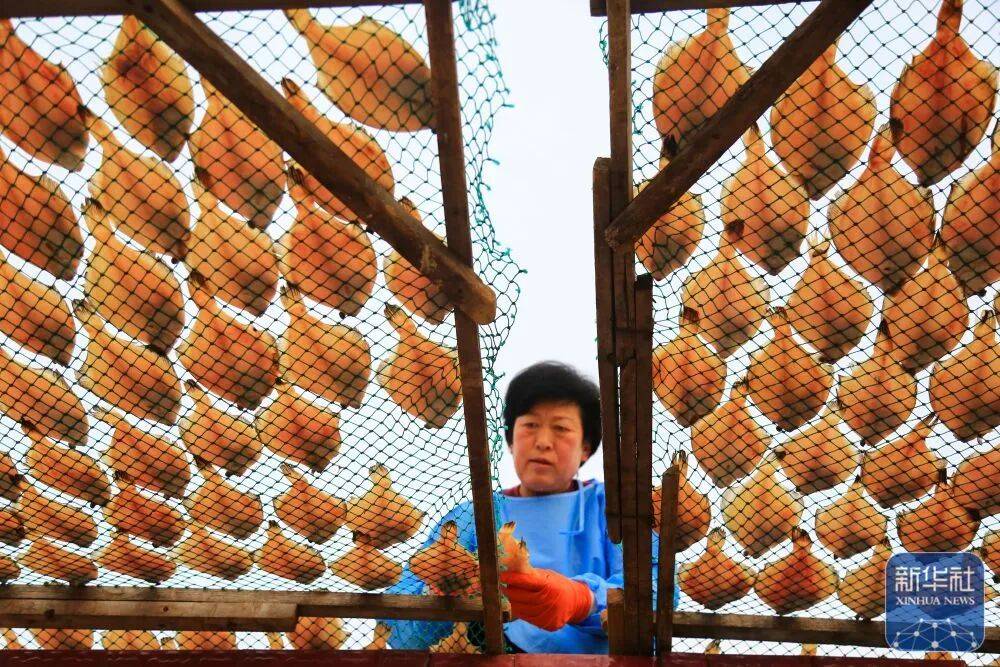 金诺宠物节来了时间就在pg电子试玩第二届亚太(图3) 金诺宠物节来了时间就在pg电子试玩第二届亚太(图3)