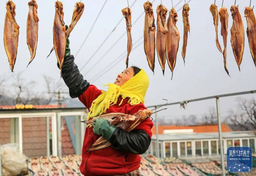 金诺宠物节来了时间就在pg电子试玩第二届亚太(图5) 金诺宠物节来了时间就在pg电子试玩第二届亚太(图5)