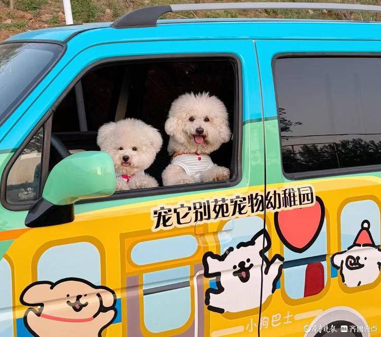 爆满宠物经济赛道“拥挤”暗藏隐忧pg电子试玩网站免费宠物寄养假期(图4)